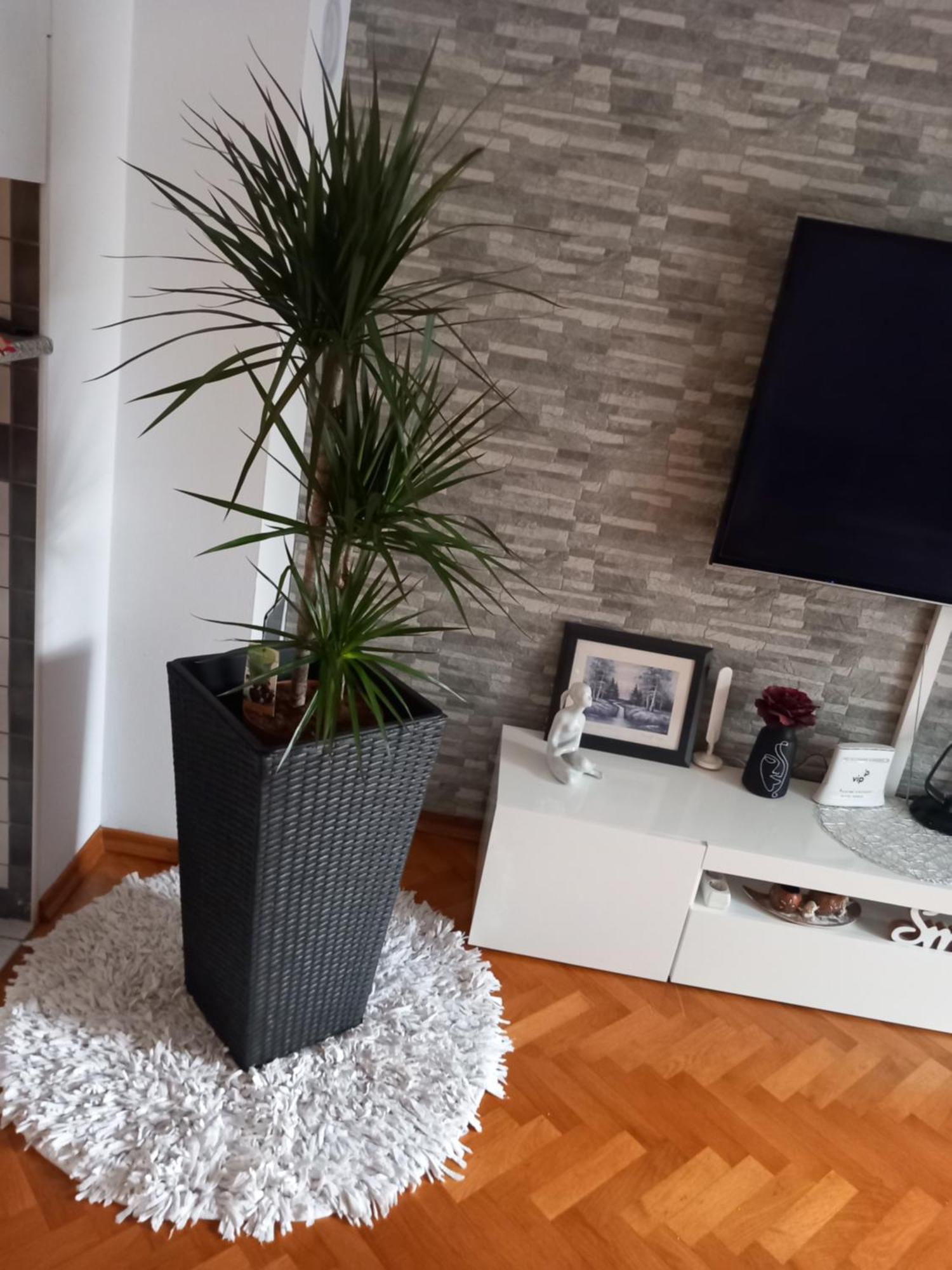 Apartman Petra Palit 외부 사진